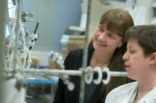 Four leading researchers named to Royal Society of Canada