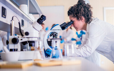 It’s a plan: How do women make decisions about contraception?